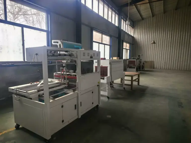 Packaging Equipment at Caoxian Xin Xiaomu factory